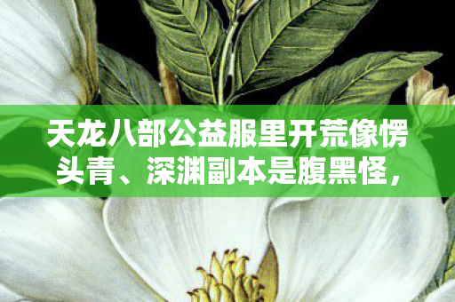 天龙八部公益服里开荒像愣头青图片