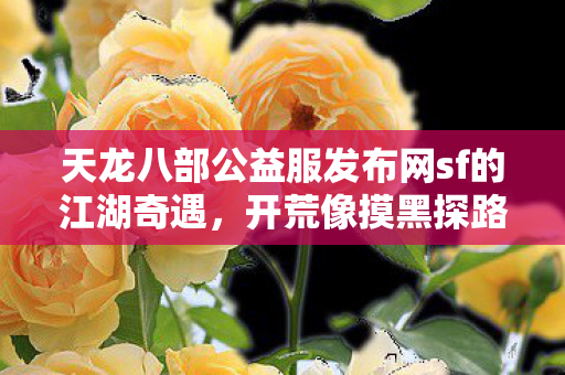 天龙八部公益服发布网sf的江湖奇遇图片