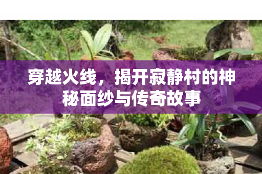 穿越火线，揭开寂静村的神秘面纱与传奇故事