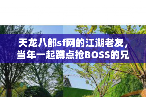 当年一起蹲点抢BOSS的兄弟图片