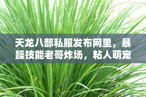 阵营死对头互怼的热血日常图片