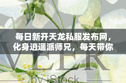 每天带你寻遍天龙江湖刚开的新鲜私服图片
