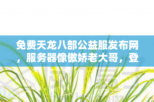 登录下载的坑我替你踩遍天龙私服图片