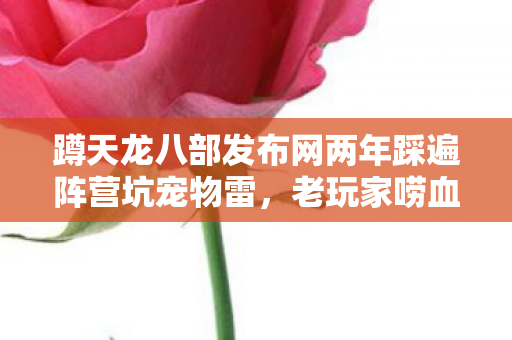 蹲天龙八部发布网两年踩遍阵营坑宠物雷图片