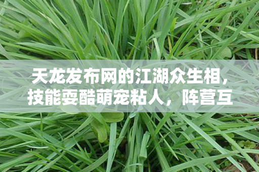 阵营互掐比现实还带劲天龙私服图片