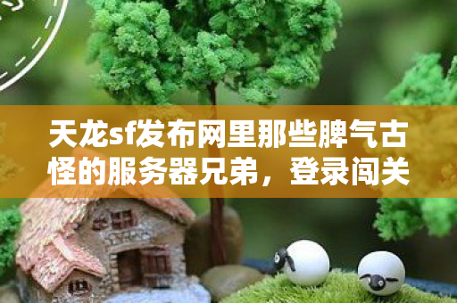 天龙sf发布网里那些脾气古怪的服务器兄弟图片