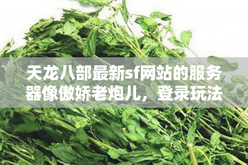 服务器像傲娇老炮儿 登录玩法藏踩坑小九九 天龙八部私服上线送满V图片