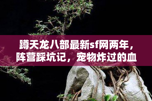 蹲天龙八部最新sf网两年 2024新开 阵营踩坑记与宠物炸过的血泪野路子天龙八部私服图片