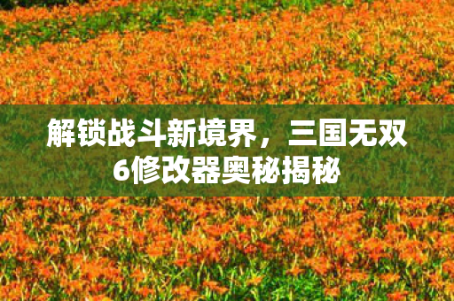 解锁战斗新境界,三国无双6修改器奥秘揭秘 解锁战斗新境界,三国无双6修改器奥秘揭秘
