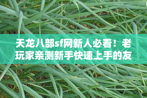 老玩家亲测新手快速上手的友好福利图片
