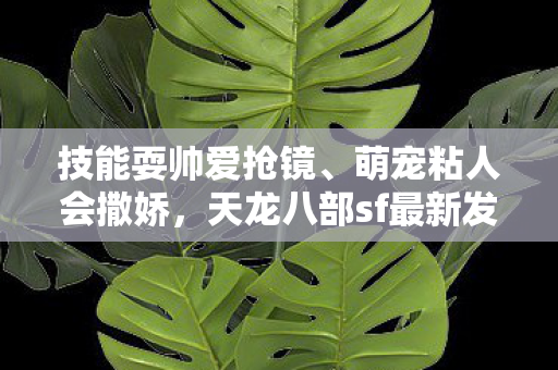 天龙八部sf最新发布热门活宝谁是你的菜图片