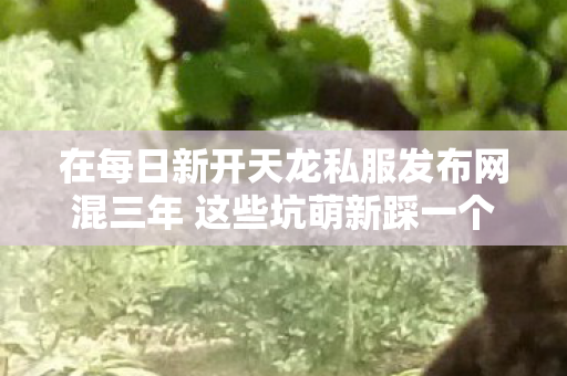 在每日新开天龙私服发布网混三年 这些坑萌新踩一个心疼三天 最新天龙八部私服避坑指南图片