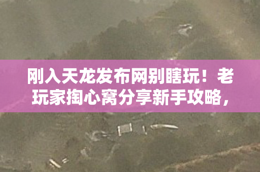 新手友好还藏着超多惊喜玩法天龙八部私服图片