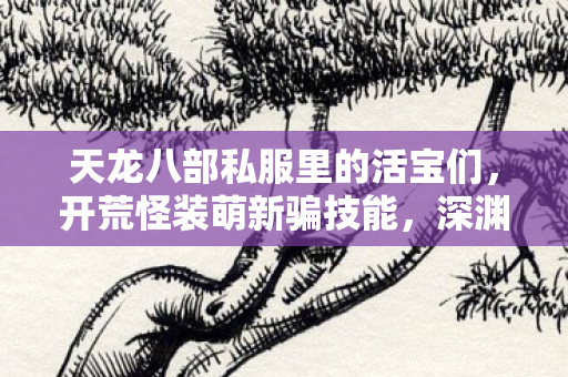 神秘NPC挖坑不眨眼天龙八部私服图片