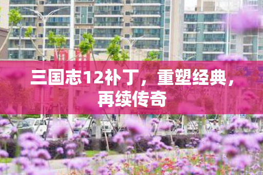三国志12补丁图片