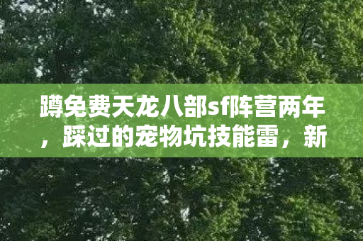 新人必看血泪指南天龙八部私服图片