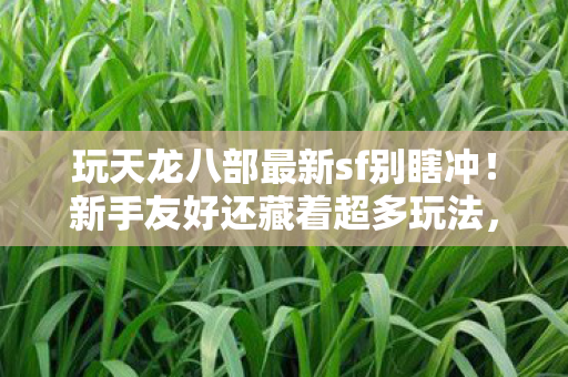 老玩家掏心窝分享天龙八部私服图片