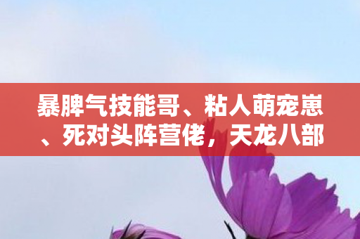 天龙八部sf发布网里的活宝陪我踩坑两年天龙八部私服图片