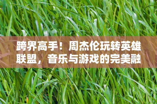 周杰伦跨界玩转英雄联盟图片