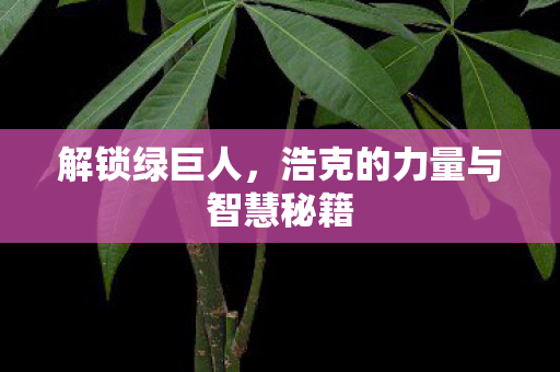 浩克的力量与智慧秘籍图片