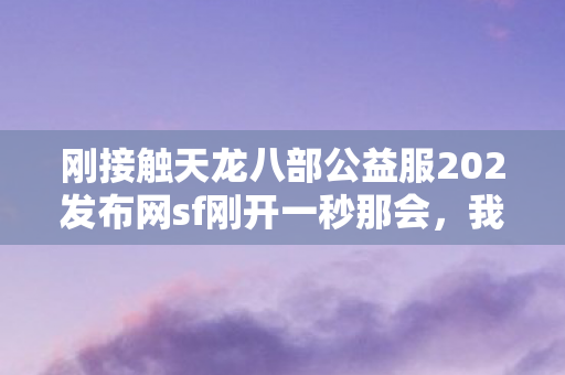 刚接触天龙八部公益服202发布网sf刚开一秒那会图片