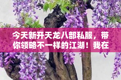 今天新开天龙八部私服图片