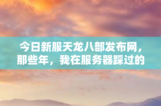 我在服务器踩过的坑与摸出的野路子天龙私服图片