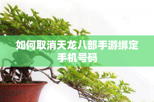 如何取消天龙八部手游绑定手机号码图片