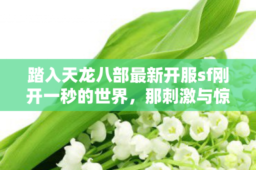 踏入天龙八部最新开服sf刚开一秒的世界图片