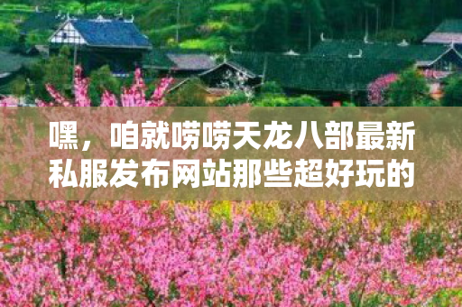 咱就唠唠天龙八部最新私服发布网站那些超好玩的版本图片