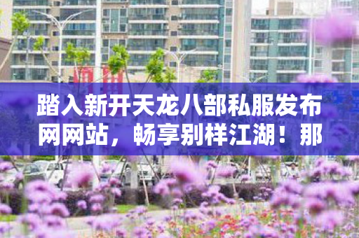 踏入新开天龙八部私服发布网网站图片