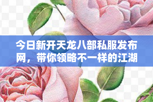 今日新开天龙八部私服发布网图片