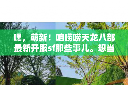 咱唠唠天龙八部最新开服sf那些事儿图片