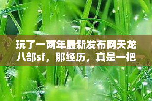 玩了一两年最新发布网天龙八部sf图片