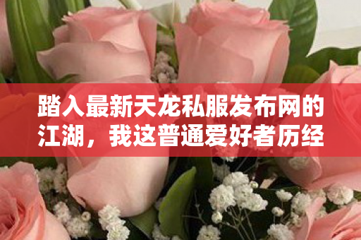 踏入最新天龙私服发布网的江湖图片