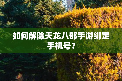 如何解除天龙八部手游绑定手机号图片