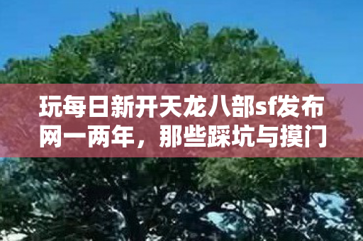 那些踩坑与摸门道的激情游戏路天龙私服图片