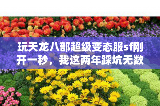 玩天龙八部超级变态服sf刚开一秒图片