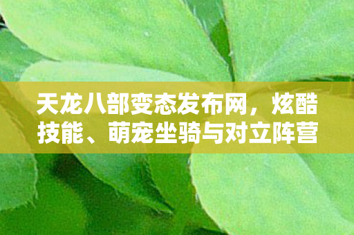 萌宠坐骑与对立阵营的奇幻碰撞天龙私服图片