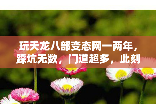 玩天龙八部变态网一两年图片