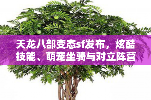 萌宠坐骑与对立阵营的奇幻碰撞天龙私服图片