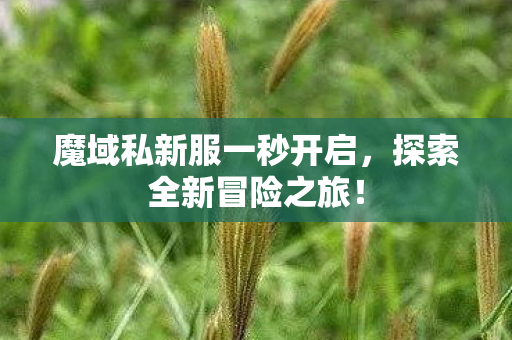 魔域私新服一秒开启图片
