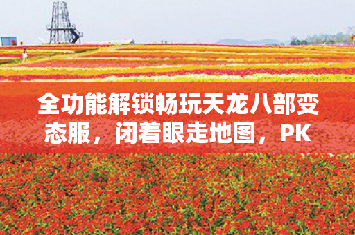 全功能解锁畅玩天龙八部变态服图片