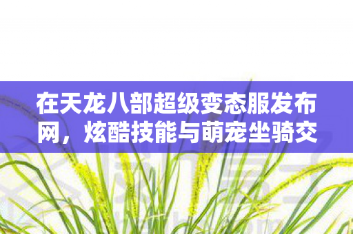 在天龙八部超级变态服发布网图片