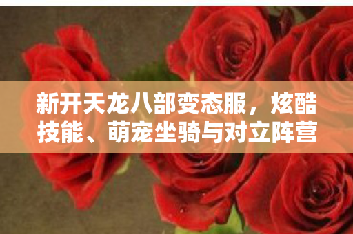 萌宠坐骑与对立阵营的奇幻碰撞天龙私服图片