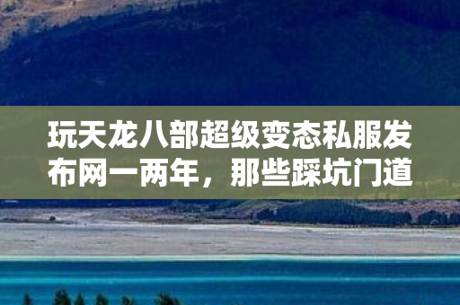 玩天龙八部超级变态私服发布网一两年图片