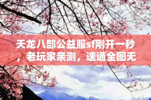 天龙八部公益服sf刚开一秒图片