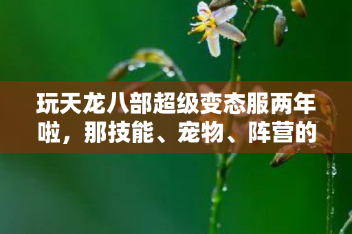 玩天龙八部超级变态服两年啦图片