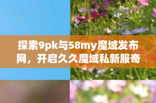 探索9pk与58my魔域发布网图片