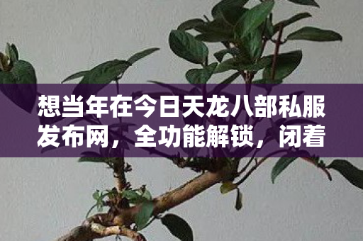 想当年在今日天龙八部私服发布网图片